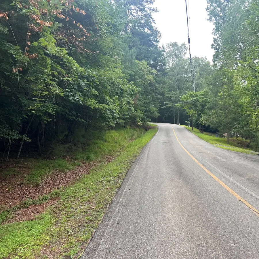 LT 445 Villa Drive, Ellijay, GA 30540 - #2