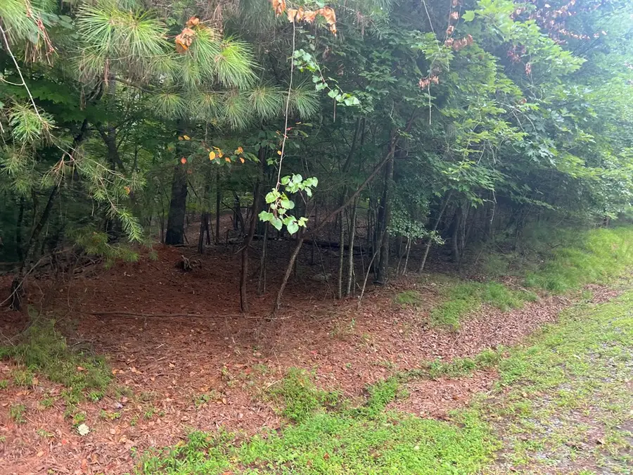 LT 445 Villa Drive, Ellijay, GA 30540 - #3