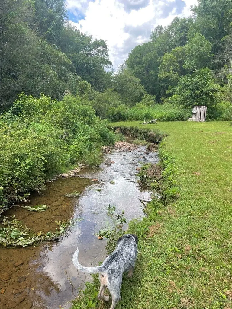 129 Old Slow Creek, Marble, NC 28905 - #2