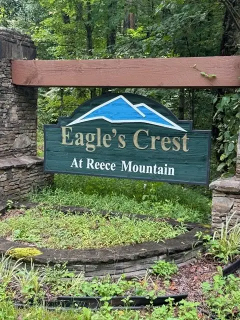 LT 43&44 Reece Mountain Road, Ellijay, GA 30536 - #2