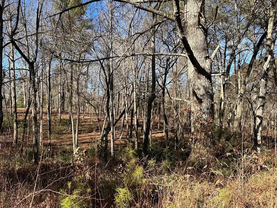 Lot 14 Fairview Way, Blue Ridge, GA 30560 - #3