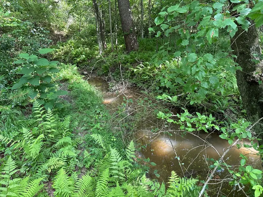 Lot 30 Fairview Drive, Morganton, GA 30560 - #3