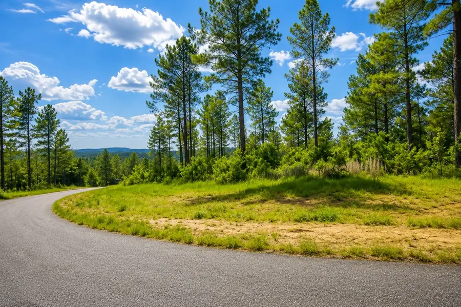 Lot 62 Seven Mile Creek Road, Talking Rock, GA 30175 - #2