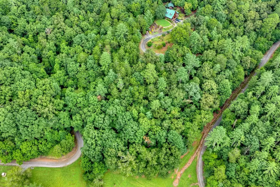 Lot 5B Toccoa River Forest, Mineral Bluff, GA 30559 - #3