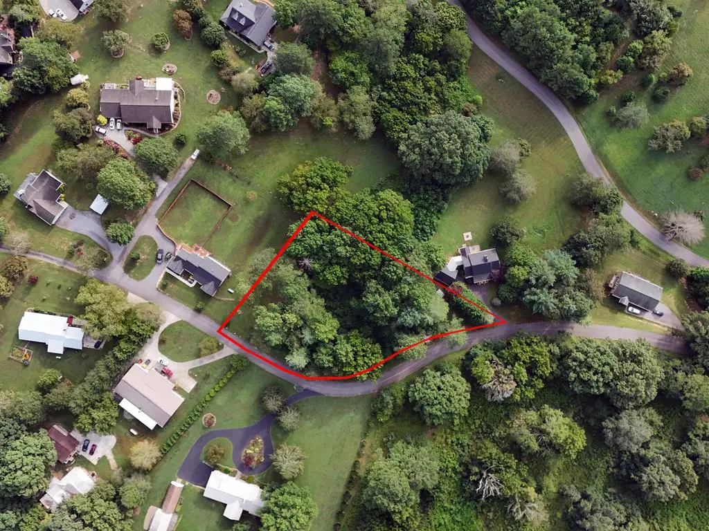 Lot 4 Butterfly Lane, Blairsville, GA 30512 - #1