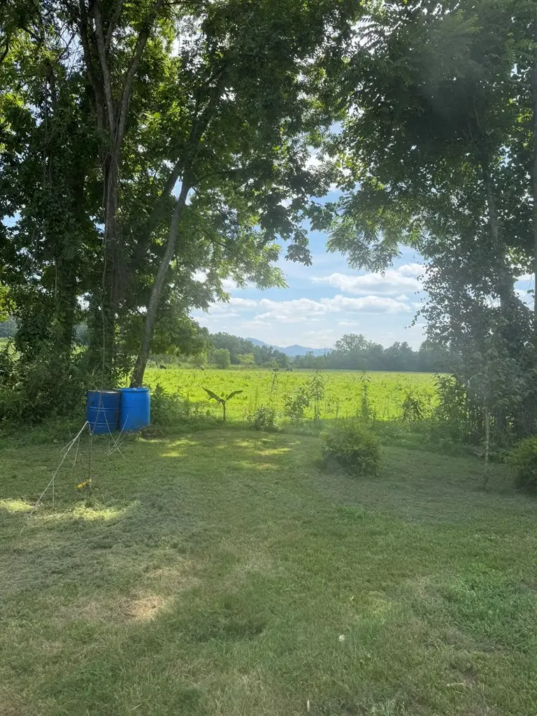 00 Wenland Estates, Brasstown, NC 28902 - #3