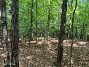 Lot 11 Green Cove Circle, Murphy, NC 28906