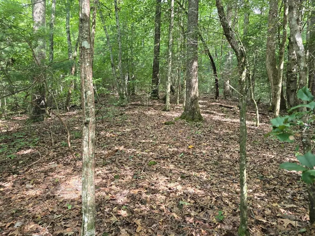 3.59 AC Swallows Creek Road, Hiawassee, GA 30546 - #1