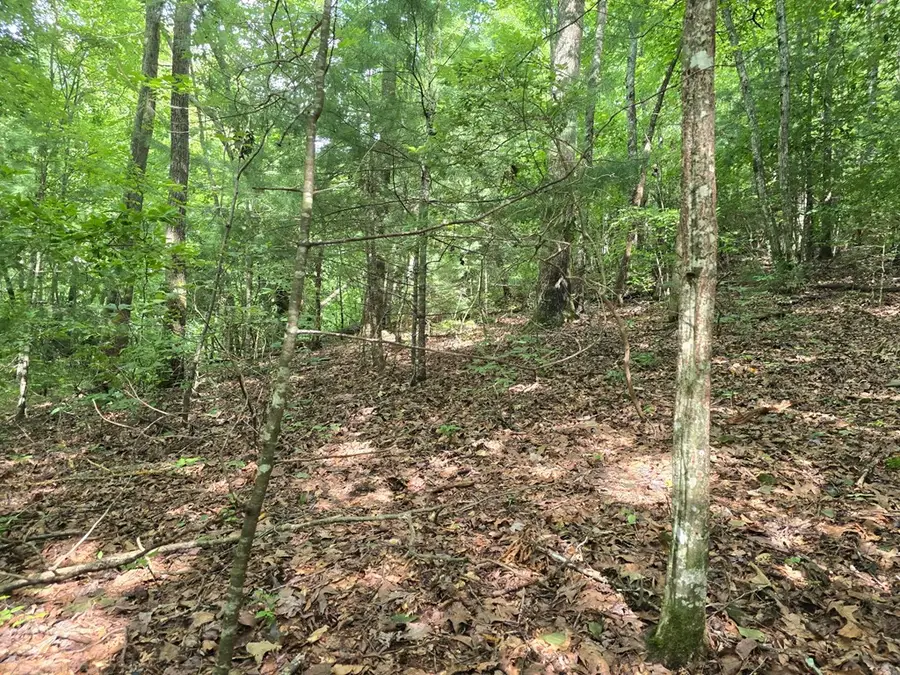 3.59 AC Swallows Creek Road, Hiawassee, GA 30546 - #3