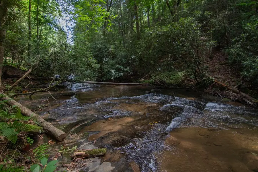 1990 Big Creek, Blue Ridge, GA 30522 - #3