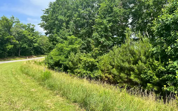 60 Thirteen Hundred, Blairsville, GA 30512