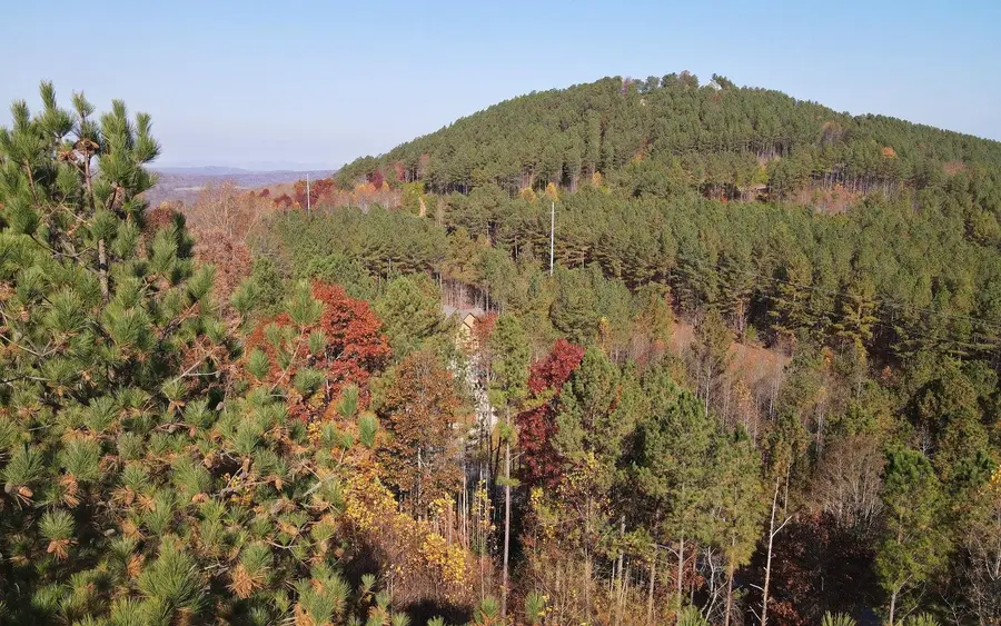 60 Thirteen Hundred, Blairsville, GA 30512 - #2