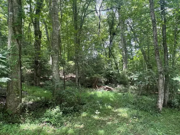 5 Trillium Lane, Brasstown, NC 28902