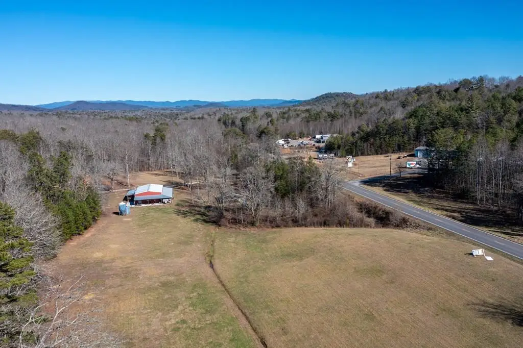 4011 Murphy Hwy, Mineral Bluff, GA 30559 - #1