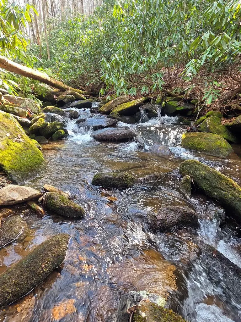 1104 Mill Creek Road, Robbinsville, NC 28771 - #1