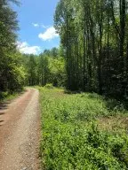 00 Vincent Colvin Road, Robbinsville, NC 28771 - #3