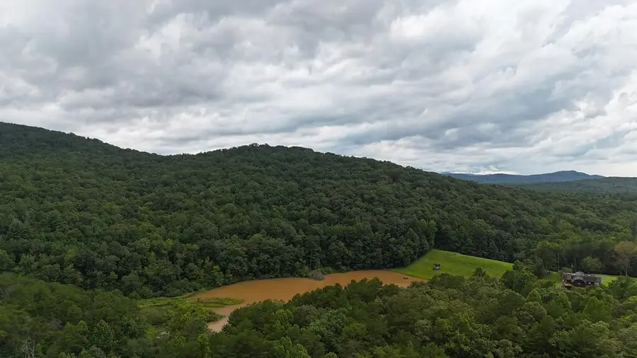 N/A Roy Road, Ellijay, GA 30536 - #3