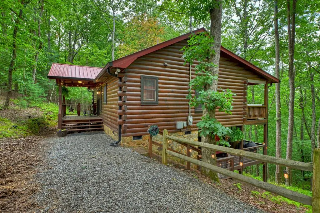 9 Casey Court, Blue Ridge, GA 30513 - #1