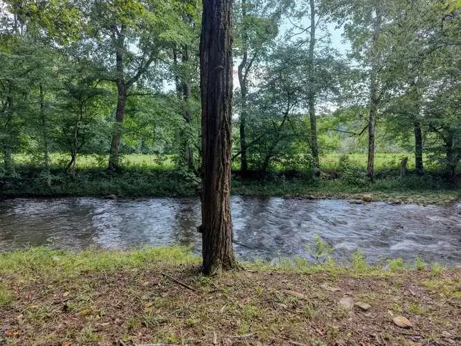 201 Ama Lane, Hayesville, NC 28904 - #3
