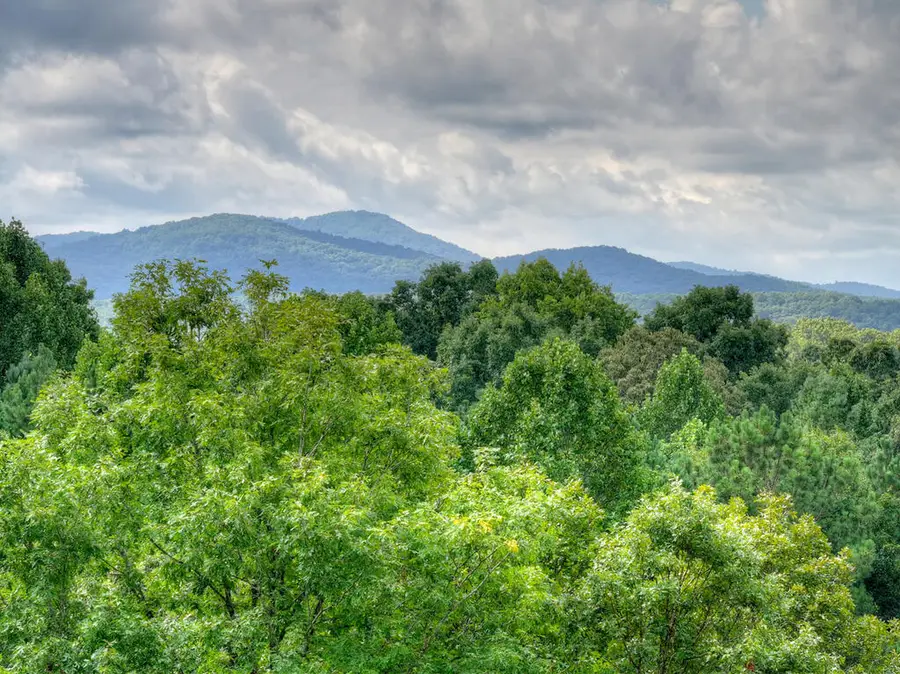 214 Ethan Wilson Way, Morganton, GA 30560 - #2