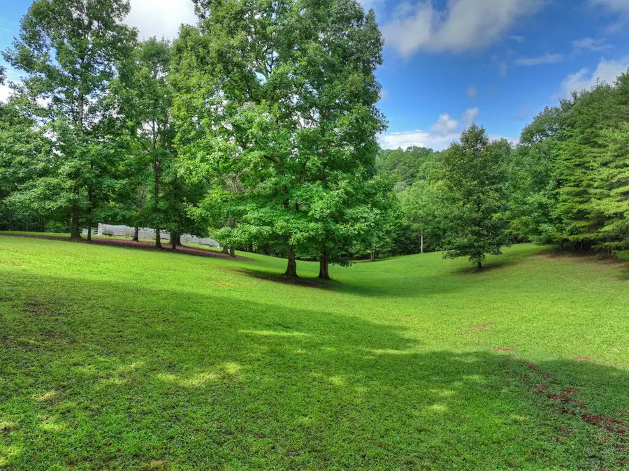 214 Ethan Wilson Way, Morganton, GA 30560 - #3