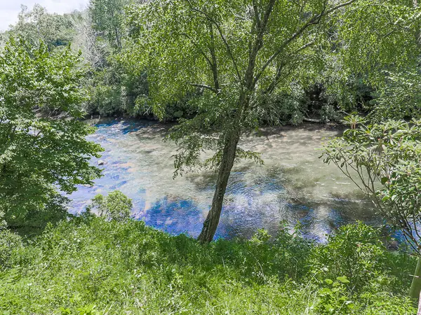 80 Riverbend Circle, Ellijay, GA 30536