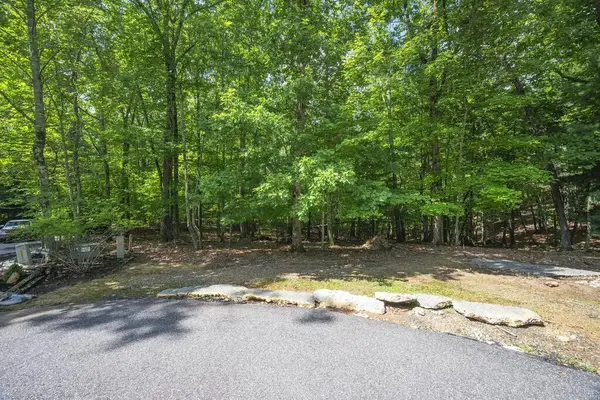 LOT 19 Gibbs Trail, Mineral Bluff, GA 30559