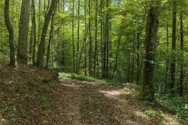 300 Sumac Lane, Ellijay, GA 30540