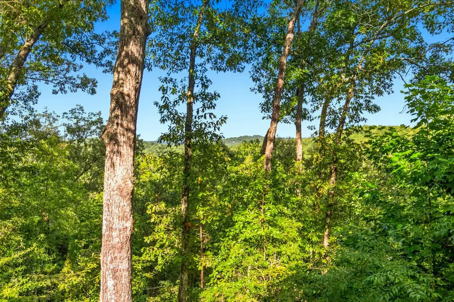 142 Oak Hill Drive, Mineral Bluff, GA 30559 - #2