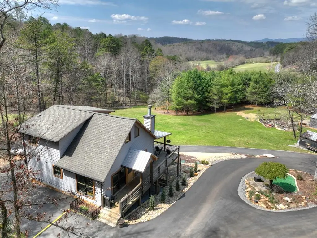 82 Indian Trace, Mineral Bluff, GA 30559 - #1