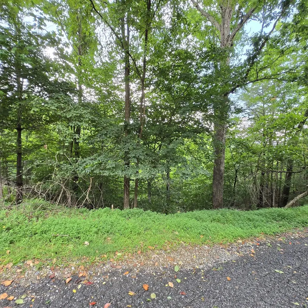 lot 71 Necowa Cove Overlook, Blue Ridge, GA 30513 - #1