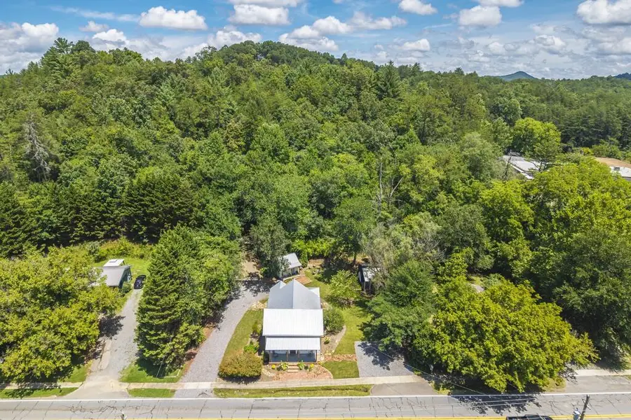 8679 Lakewood Hwy, Mineral Bluff, GA 30559 - #3