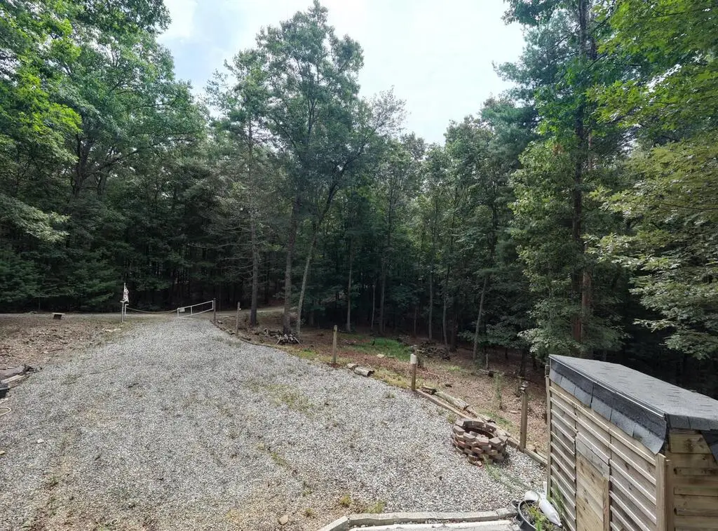 155 Atkins Trail, Blairsville, GA 30512 - #1