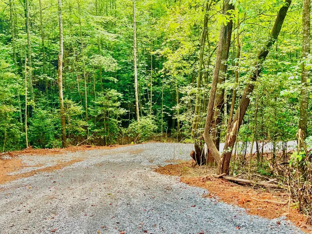 #2 Afton Road, Dawsonville, GA 30534 - #1