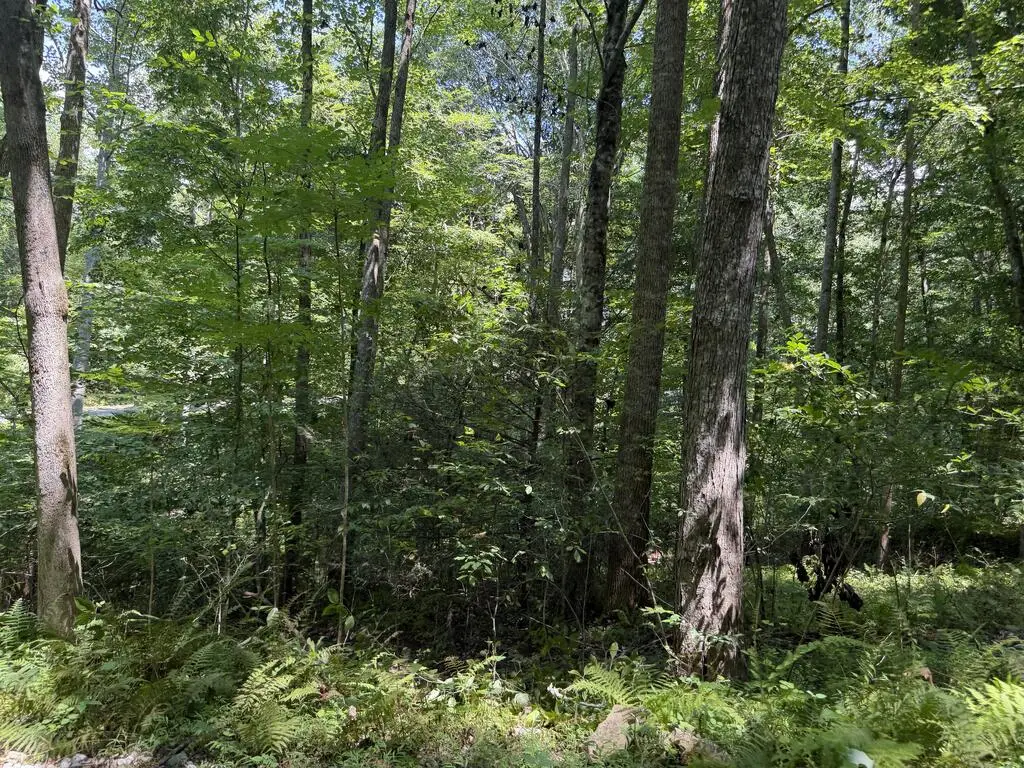 Lot 5 Blair Creek Ridge, Hayesville, NC 28904 - #1