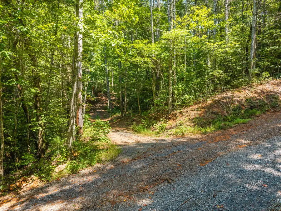 Tract 2A Stevens Ridge Road, Ellijay, GA 30540 - #3