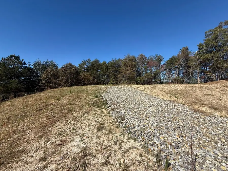 Lot 11 Lindsey Lane, Blue Ridge, GA 30513 - #3