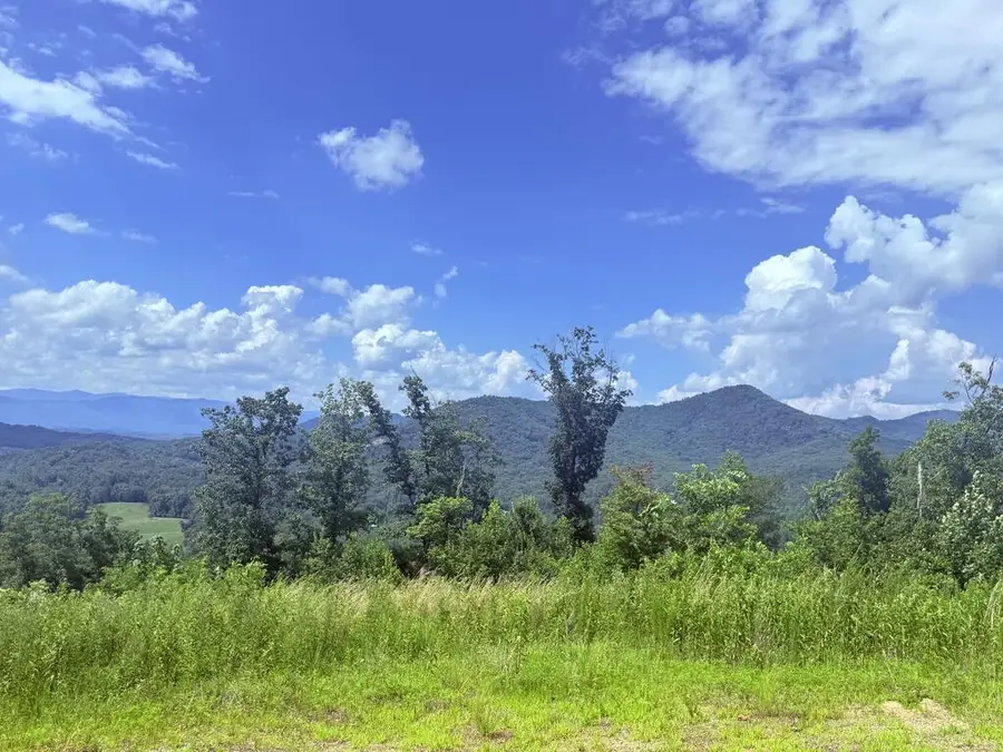 Lot 19 Grand Laurel, Brasstown, NC 28902 - #3