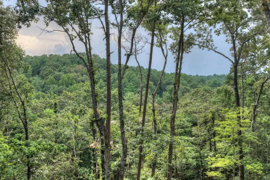 394 Blackberry Circle, Ellijay, GA 30536 - #3