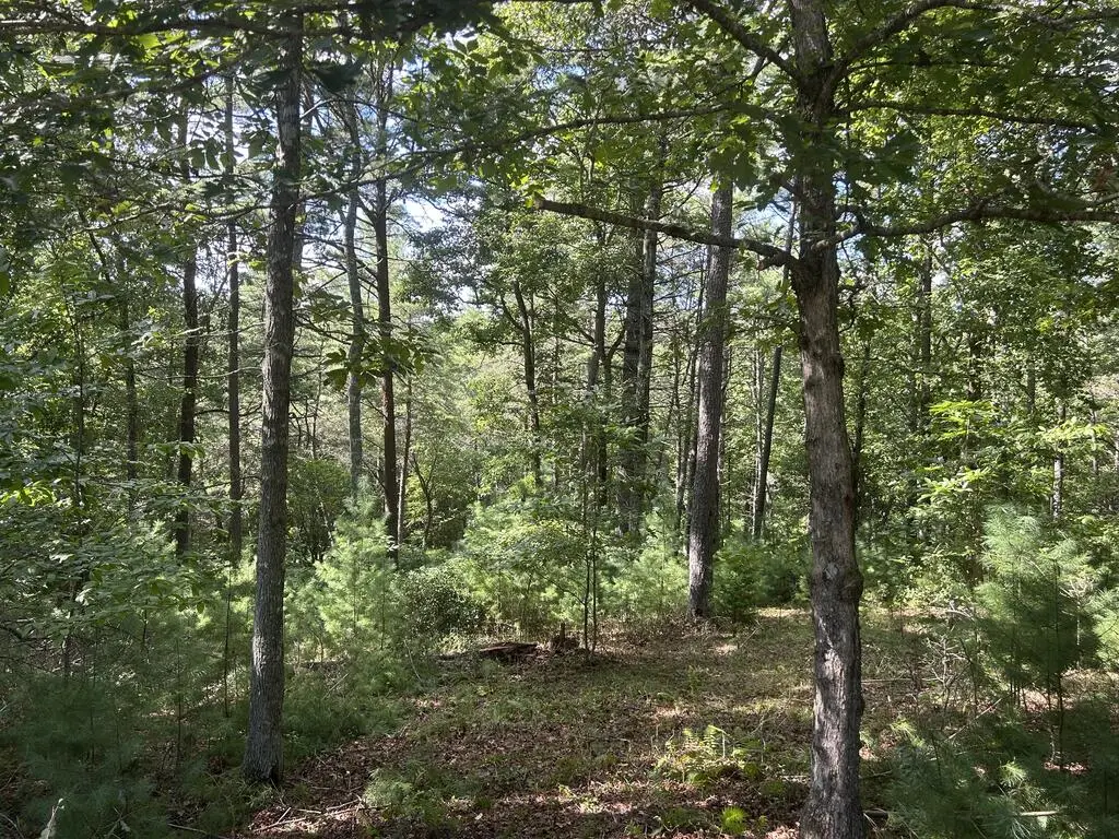 Lt 63 Harmony Way, Morganton, GA 30560 - #1