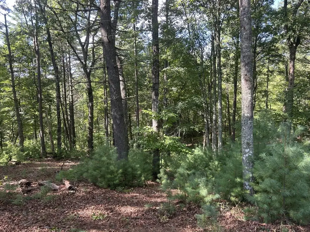 Lt 64 Harmony Way, Morganton, GA 30560 - #1