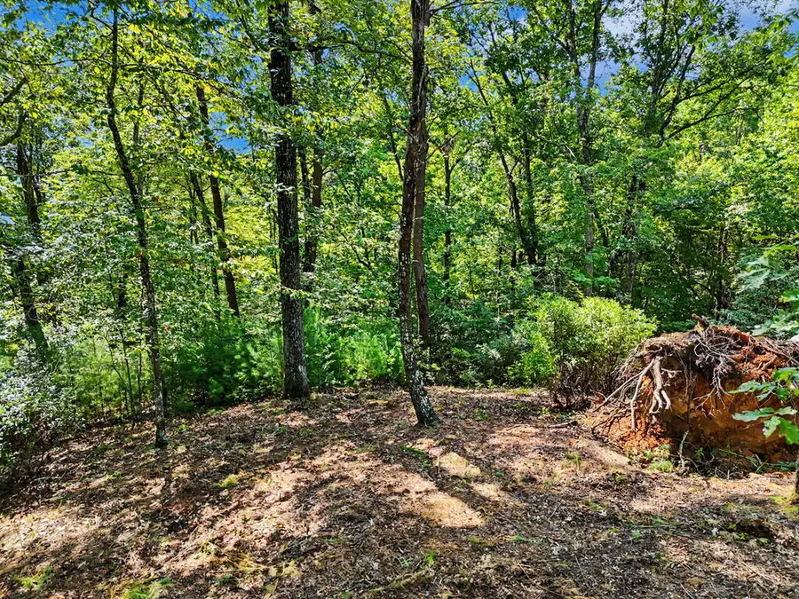 Lot 11 Brasstown Trails, Warne, NC 28909 - #3