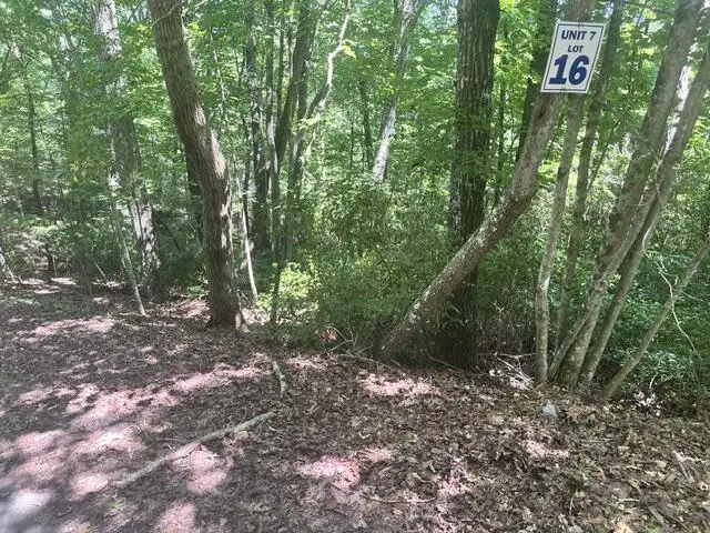 16 S Dogwood, Hayesville, NC 28904 - #1