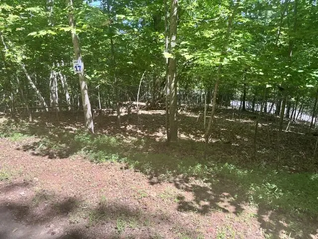 17 E Dogwood, Hayesville, NC 28904 - #2