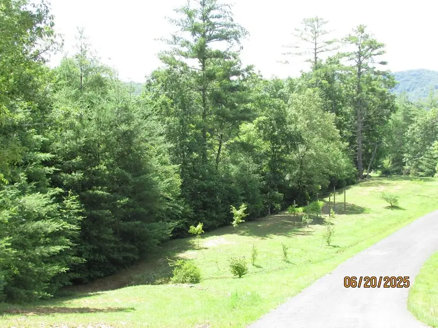 #34 Shelton Springs S/d, Hayesville, NC 28904 - #2