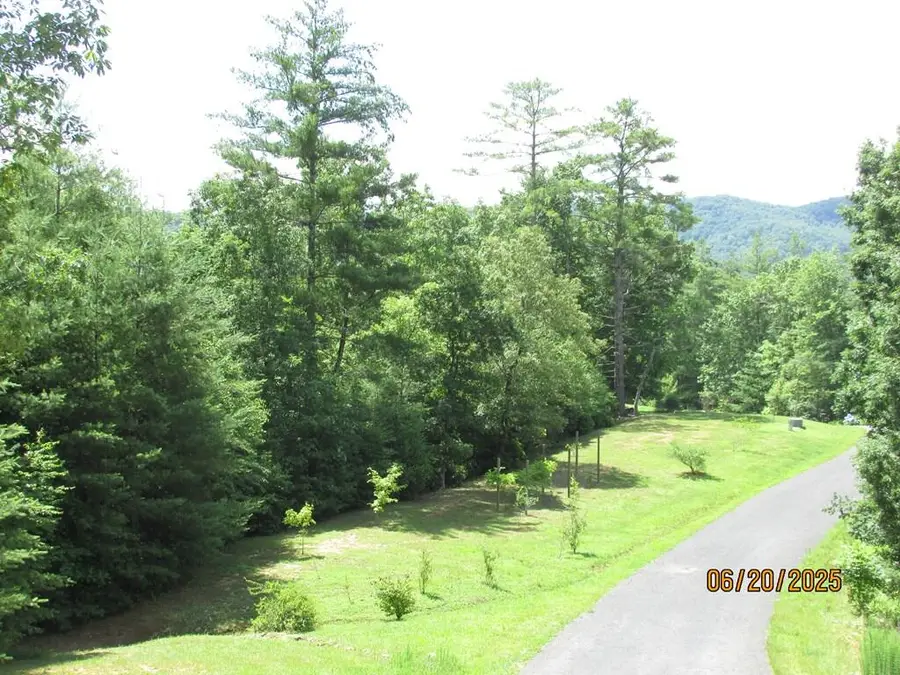 #34 Shelton Springs S/d, Hayesville, NC 28904 - #3