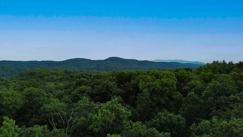 Lot 6 Allaire Lane, Mineral Bluff, GA 30559 - #1