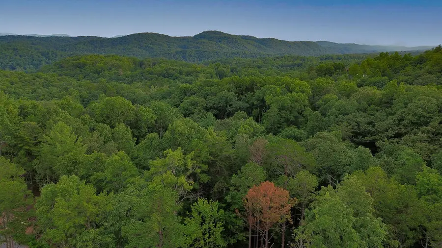 Lot 6 Allaire Lane, Mineral Bluff, GA 30559 - #2