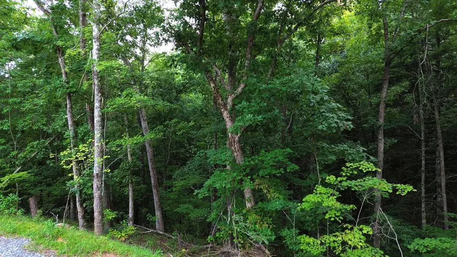 Lot 6 Allaire Lane, Mineral Bluff, GA 30559 - #3