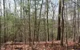 4,5&6 Mountain Wood Drive, Murphy, NC 28906 - #1